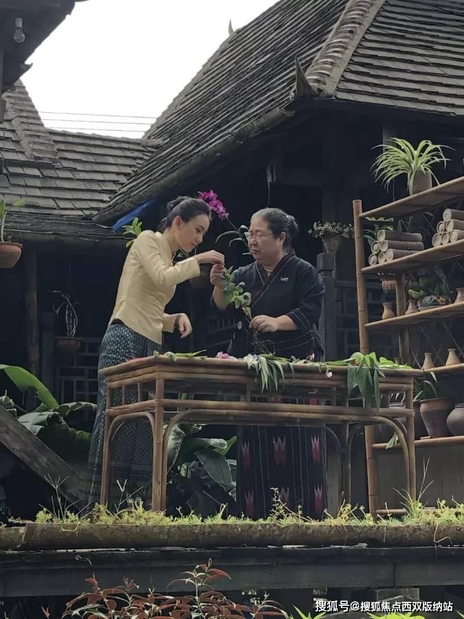 格斗巅峰大作战